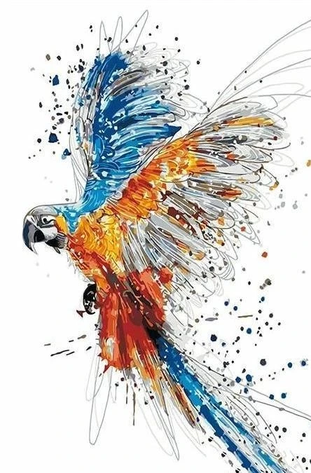 The Colorful Parrot  Painting By Numbers Kit