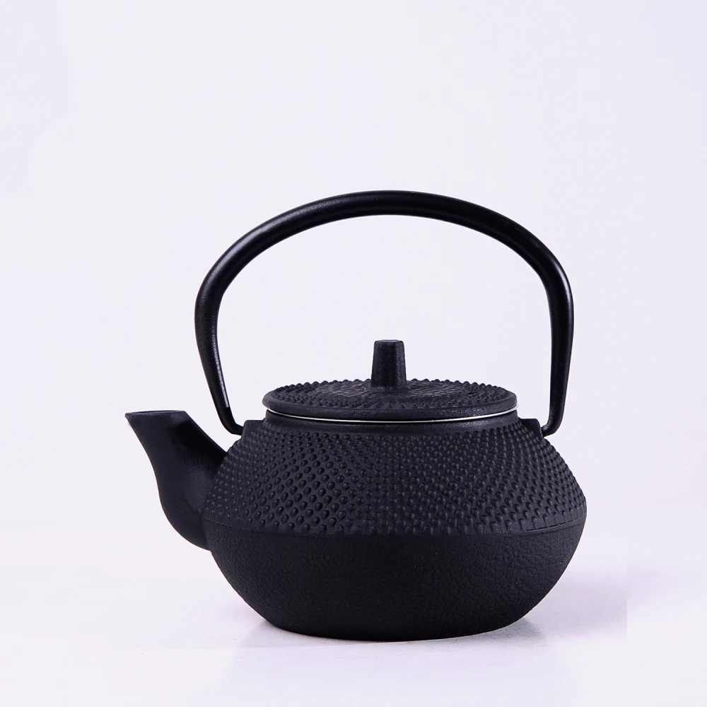 Kung Fu Teapot Iron Pot