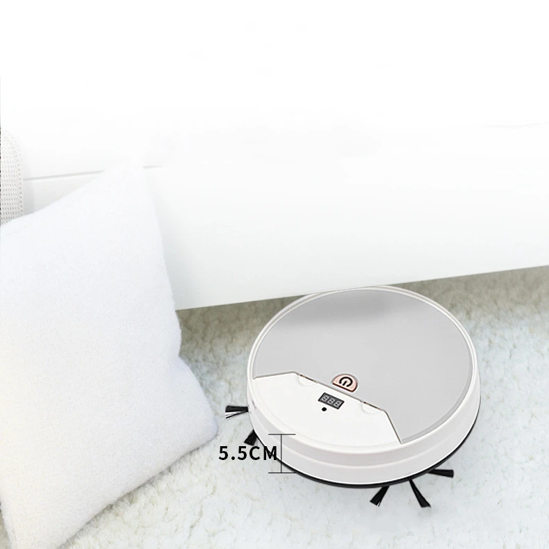 Remote Control Intelligent Sweeping Robot