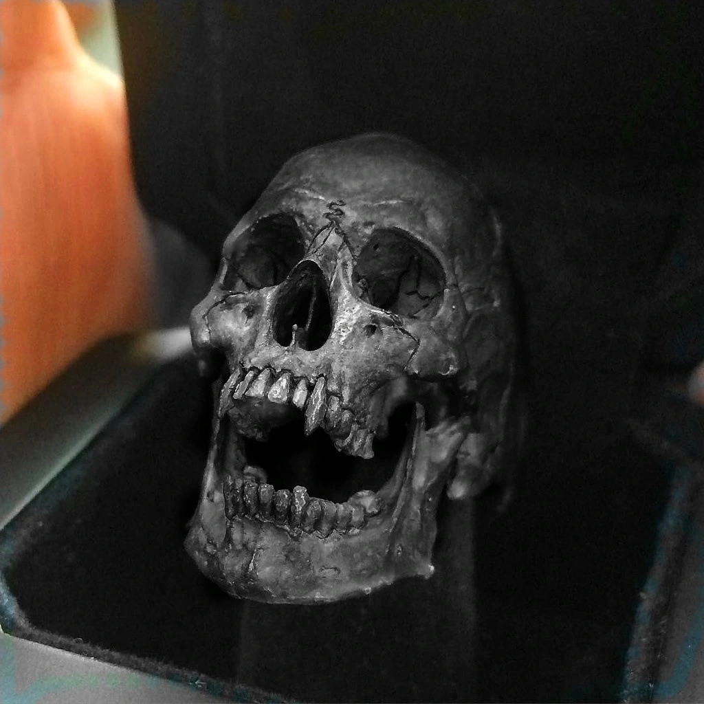 Men's Punk Skull Ring
