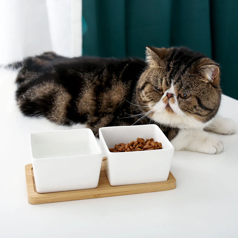 Ceramic pet rice bowl with bamboo frame