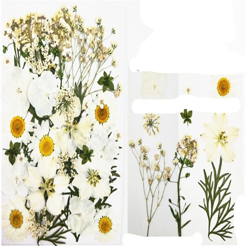 Dry flower embossing material package