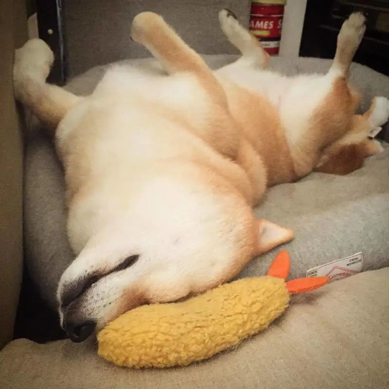  Fried Shrimp Tempura Dog Pet Chew Bite Squeaky Toy Cute Stuffed