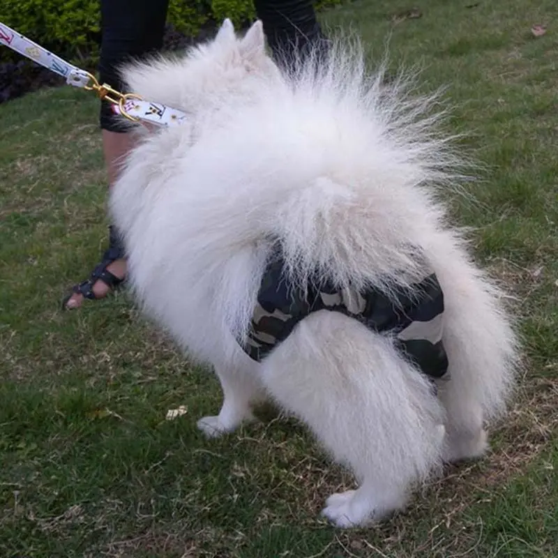 Pet Physiological Large Female Dog Menstrual Pants
