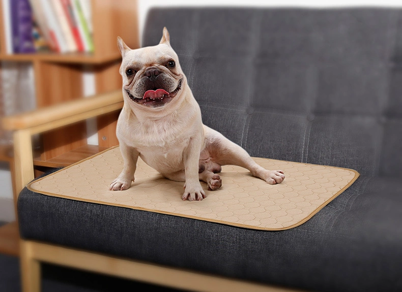 Dog stool mat