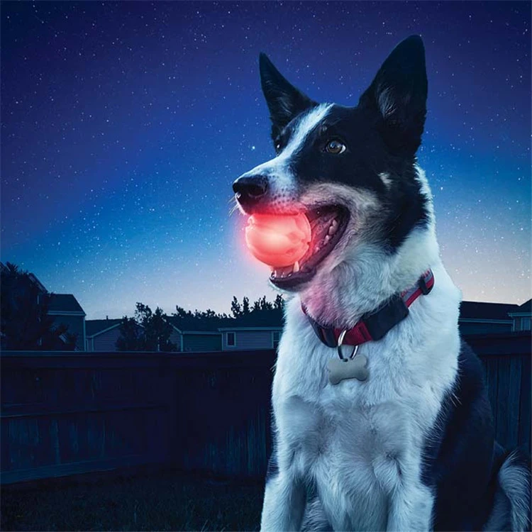 LED glowing pet dog biting ball