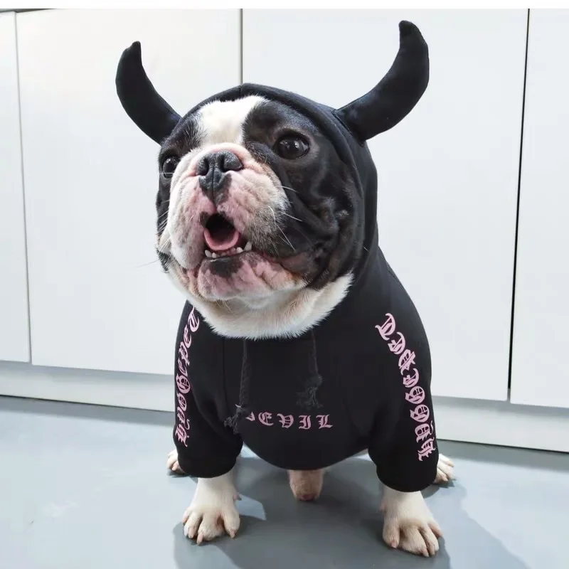 English cattle and dog clothes