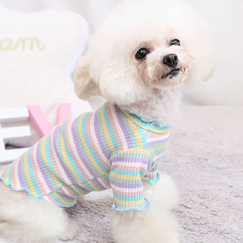 Rainbow stripe cotton bottoming shirt