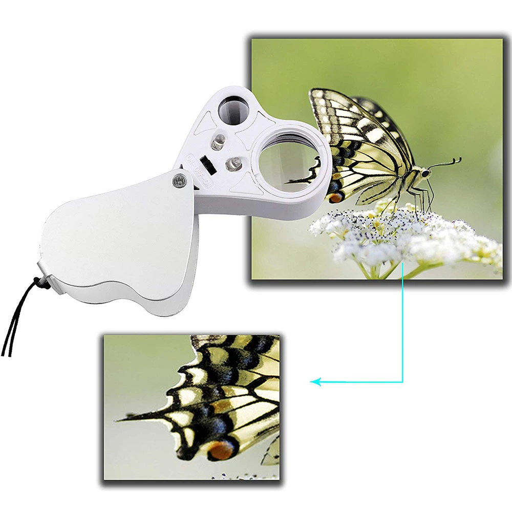 Double lens folding magnifier