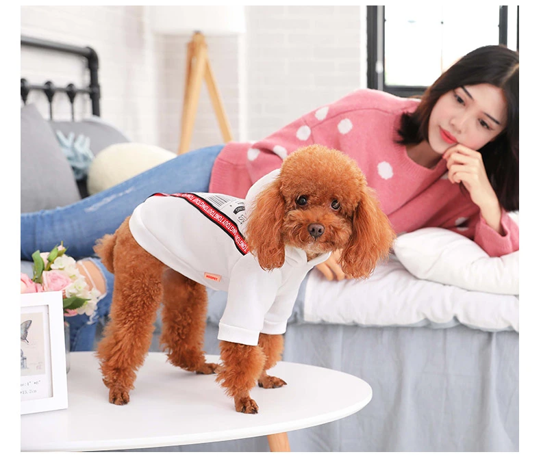 Pet sweater spring and autumn