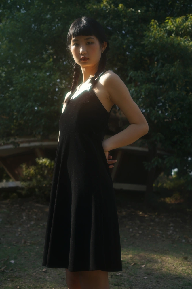 Chris's elegant daisy flower embroidery velvet dress