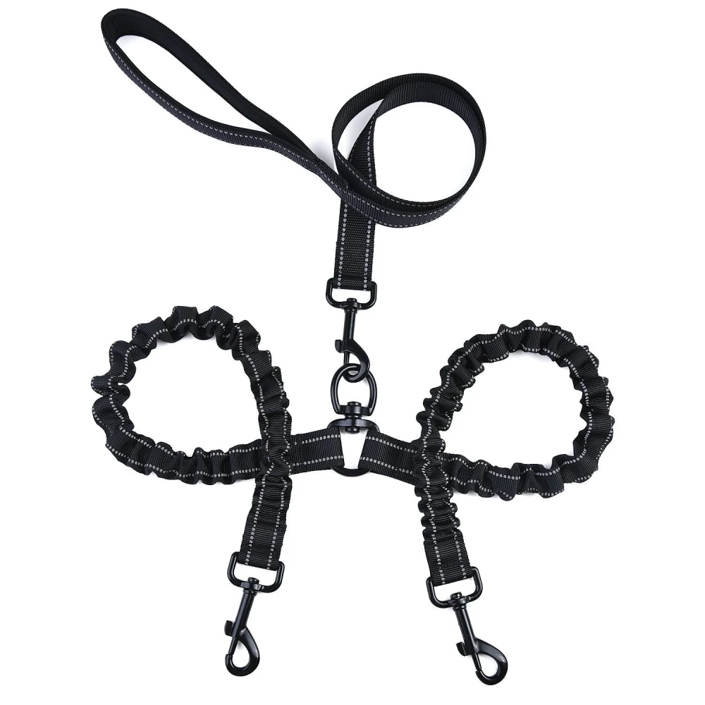 Explosion-proof double-headed pet leash