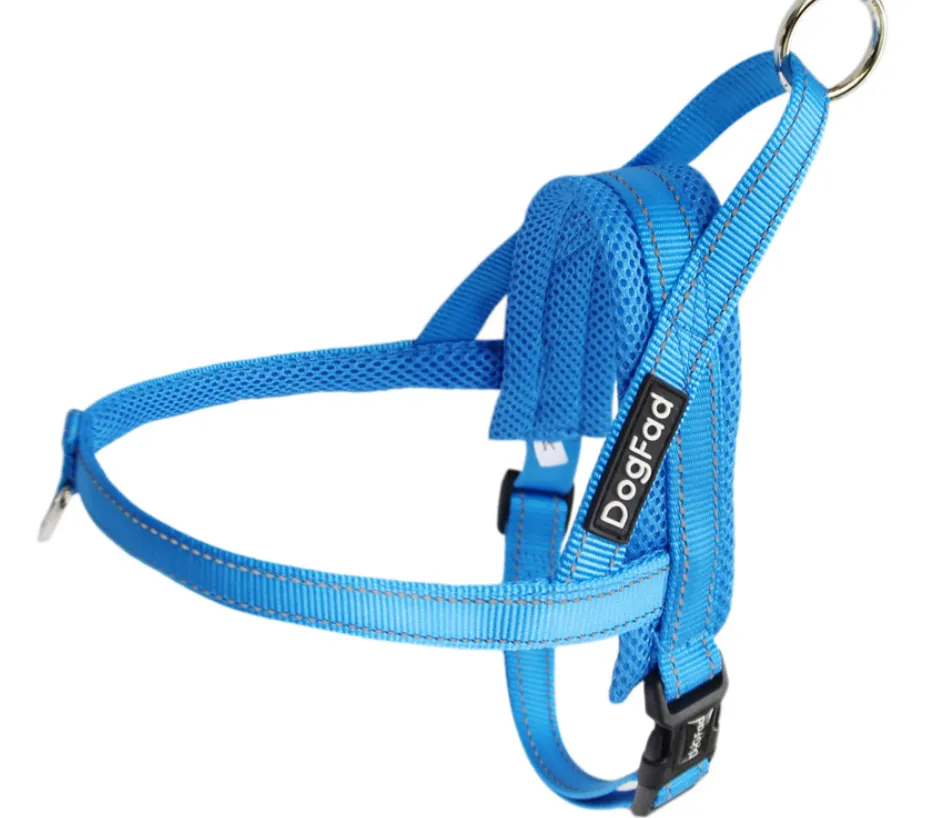 Dog chest strap