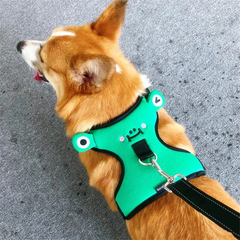 Dog''s chest and back with traction rope, dog''s back with lovely vest type walking dog explosion-proof small dog collar