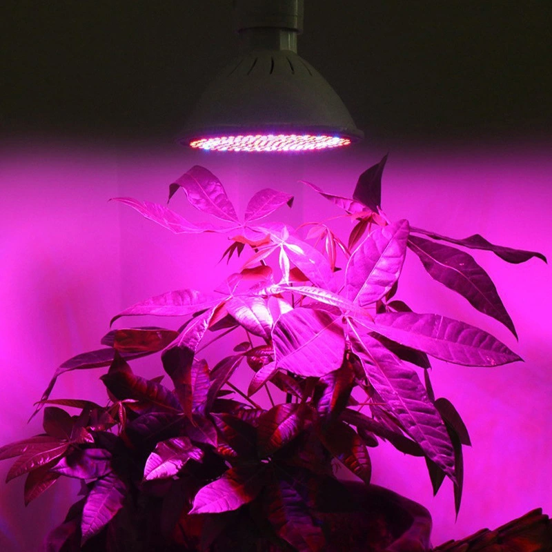 Phyto Lamp Full Spectrum LED Grow Light E27 Plant Lamp With Clip For Greenhouse Hydroponic Vegetable Flower Fitolampy