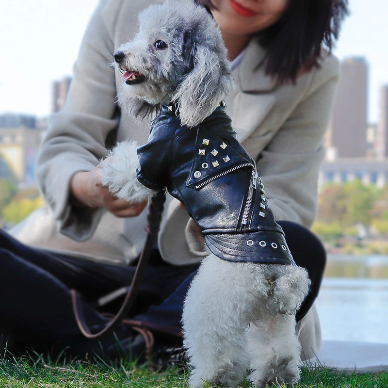 Autumn and Winter Pet Fashion Leather Clothing