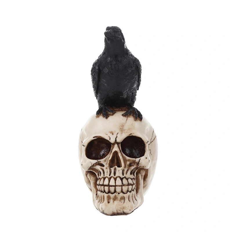 Crow Skull Model