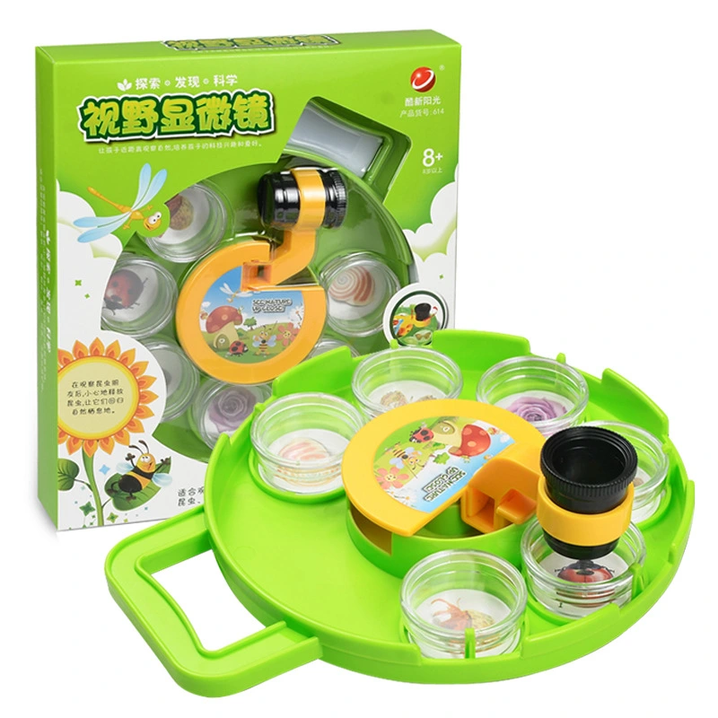 Teach Insect Observation Box Educational Toys