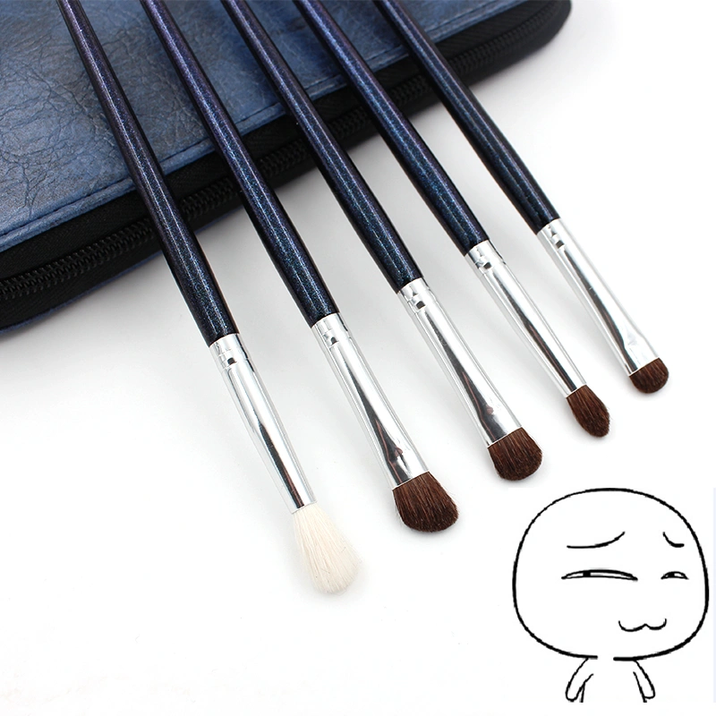 Eye makeup brush set