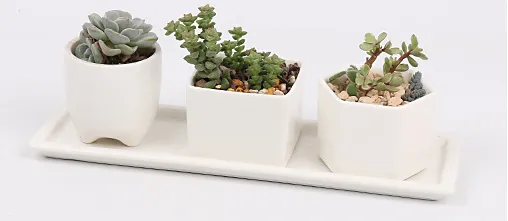 Ceramic flower pot