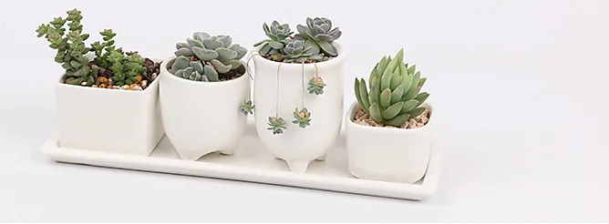 Ceramic flower pot