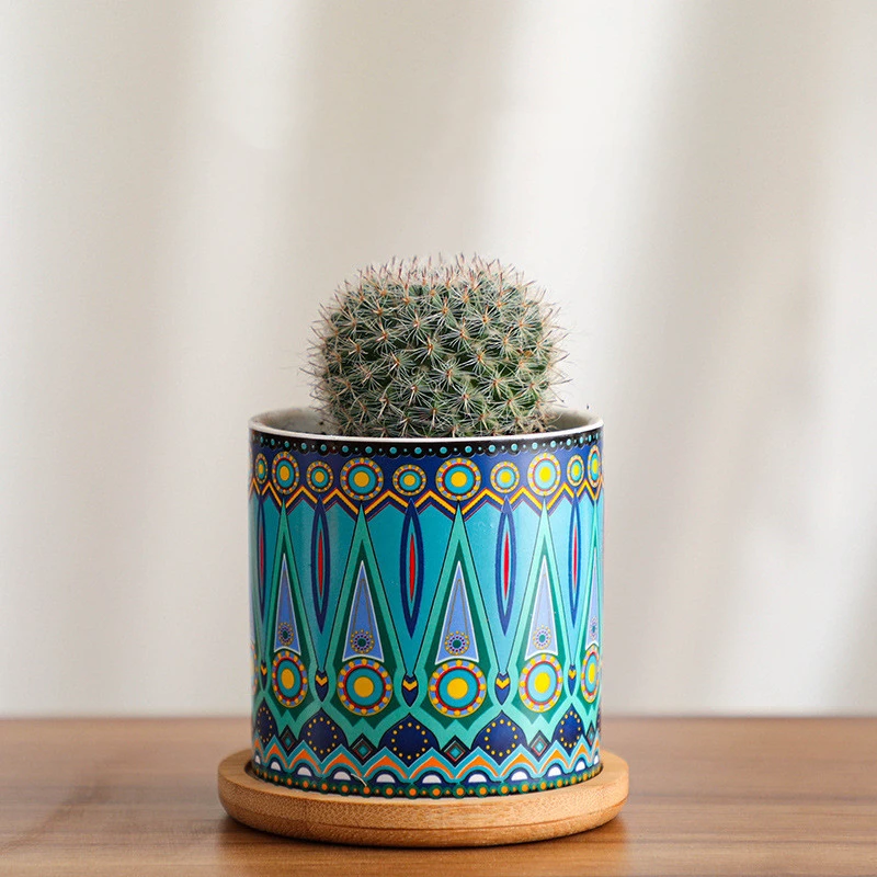 Simple Home Plant Potted Flowerpot
