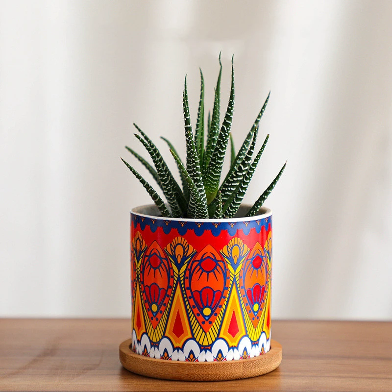 Simple Home Plant Potted Flowerpot