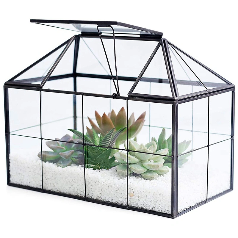 Enclosed Micro Landscape Indoor Glass Conservatory