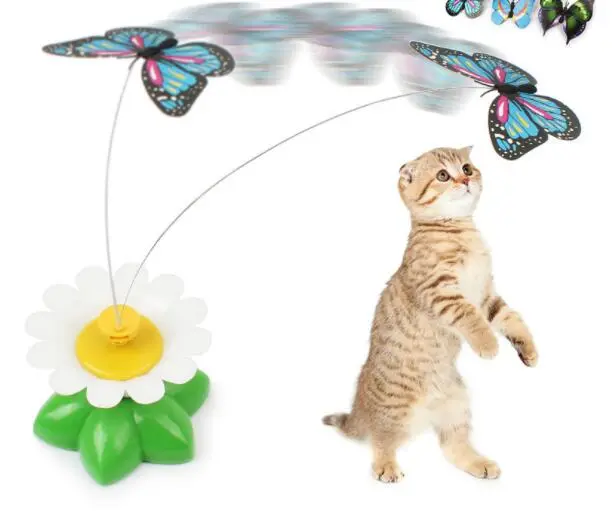 Electric birds round flowers and pet toys