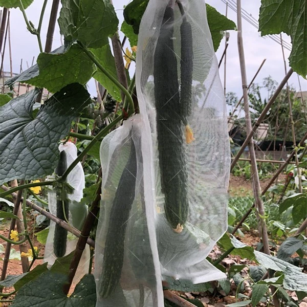 Fruit protection net bag