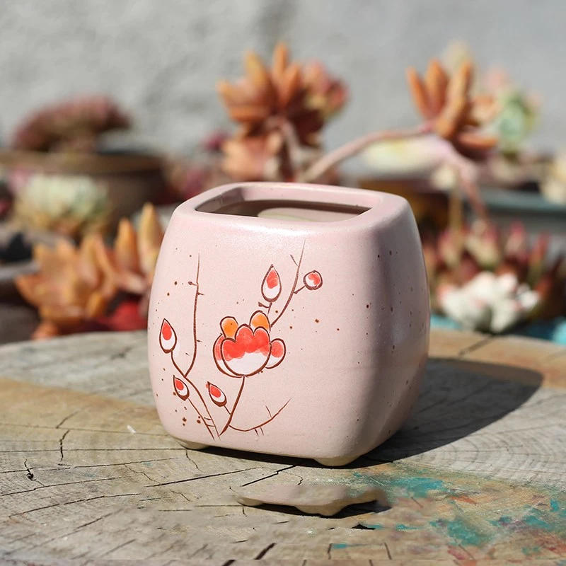 Simple Hand-painted Succulent Flower Pot Ceramic Green Plant Ideas