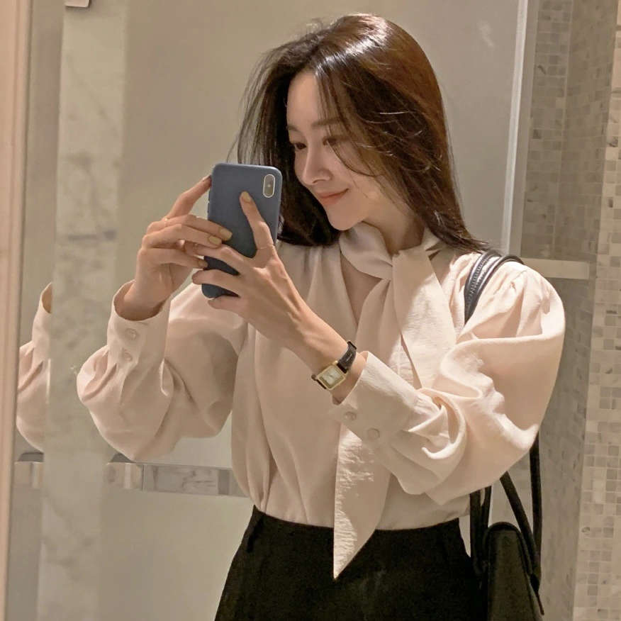 Minimalist Lace Puff Sleeve Long Sleeve Shirt Top