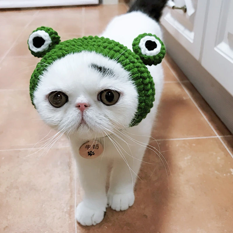 Cartoon Cross-Dressing Dog Cat Cross-Dressing Headgear Woolen Hat