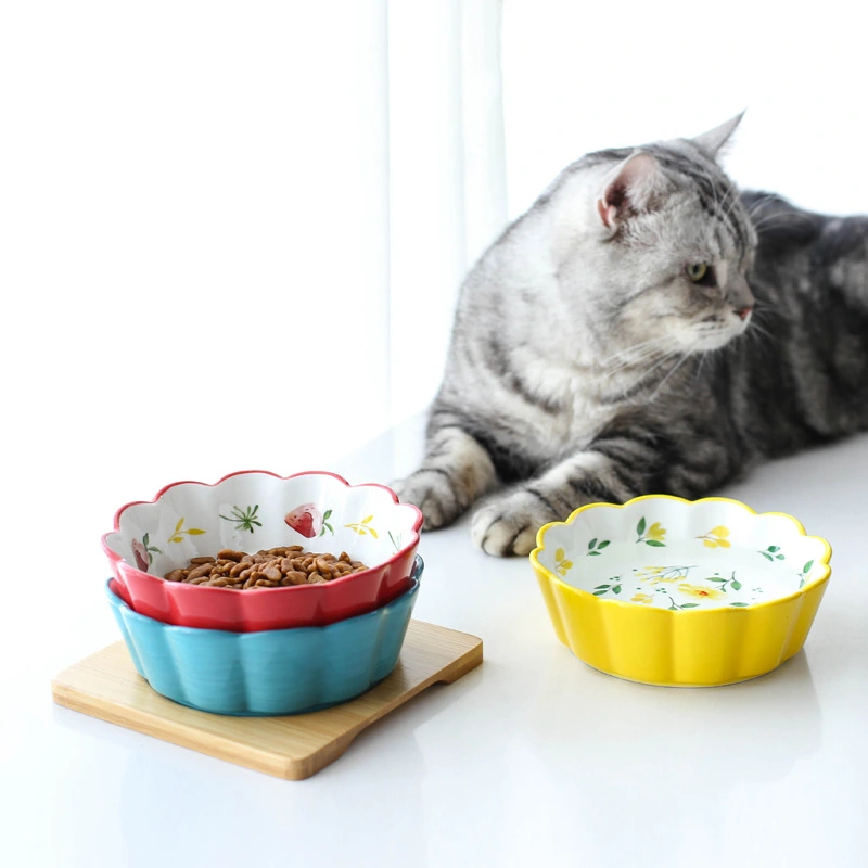 Ceramic pet bowl