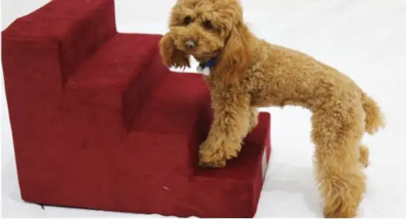 Pet stair ladder dog stair