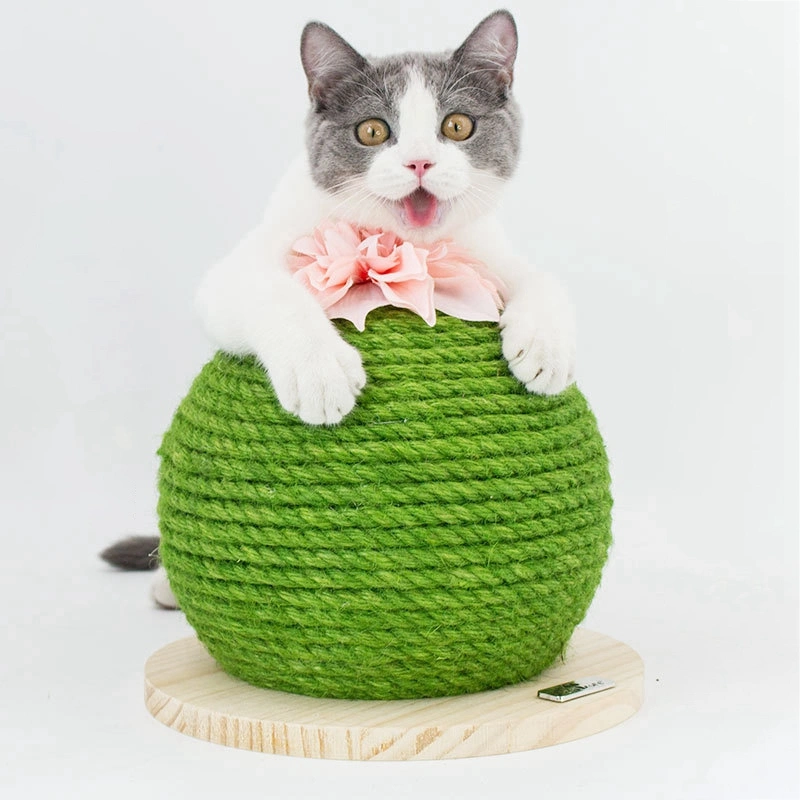 Cactus cat climbing frame