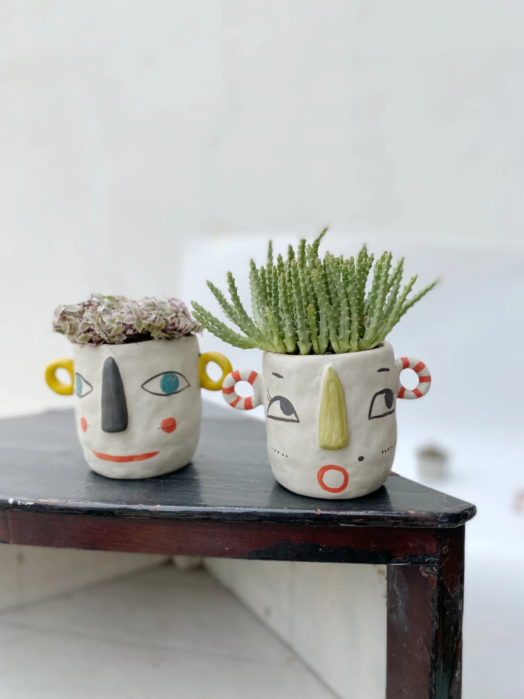 Handmade Ceramic Succulent Flower Pot With Human Face