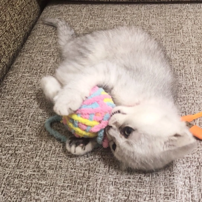 Yarn ball cat toy funny cat stick