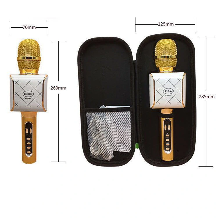 Car national karaoke microphone