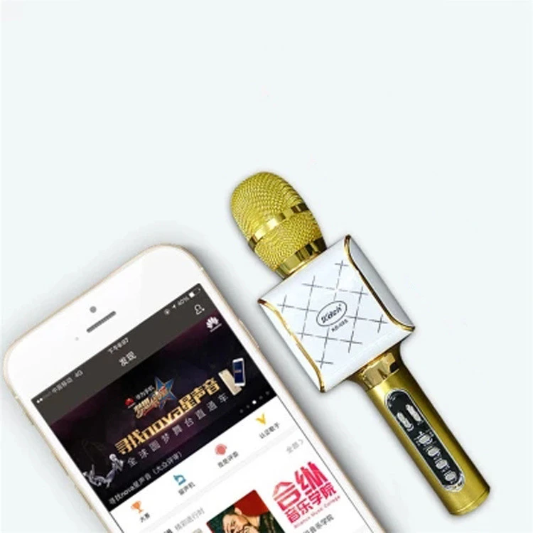 Car national karaoke microphone