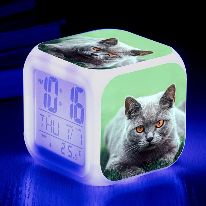 Cat narrow colorful square alarm clock