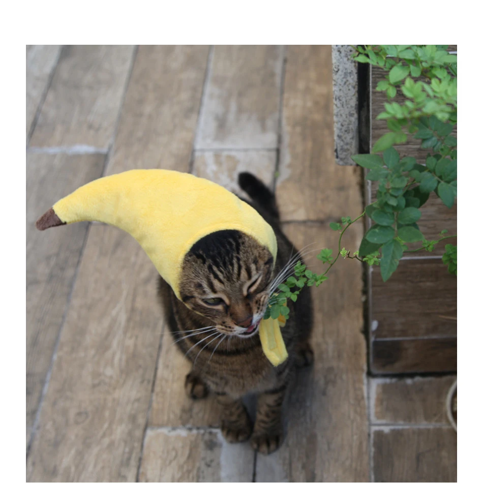 Creative design banana pet hat