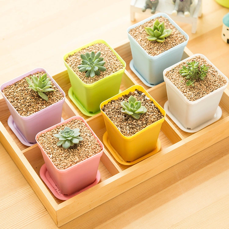 9798 Mini colorful small pots wholesale plastic pots of potted plants with fleshy desktop tray