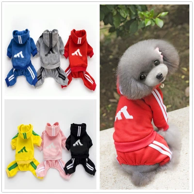 Teddy clothes dog hoodie