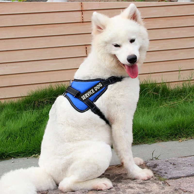 Chest strap for pet dog