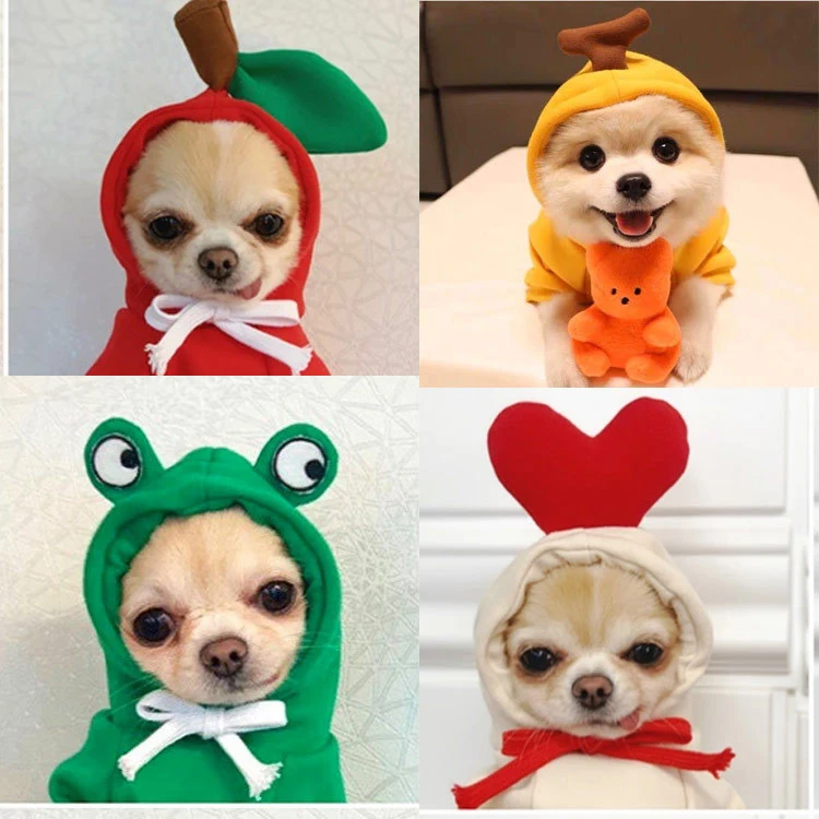 Fruit Dog Clothes Two-legged Hooded Outfits Green Fleece Clothing Autumn Winter Hoodies