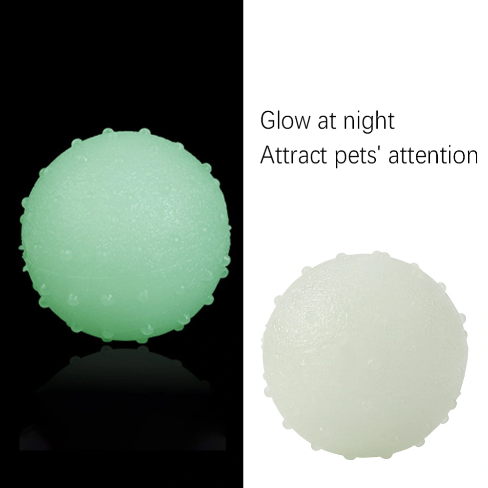 Interactive pet glow ball