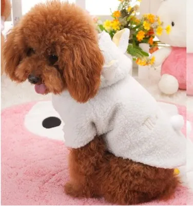 Pet Sheep Costume