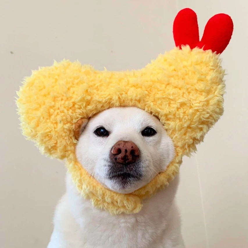 Tempura hat fried shrimp headgear