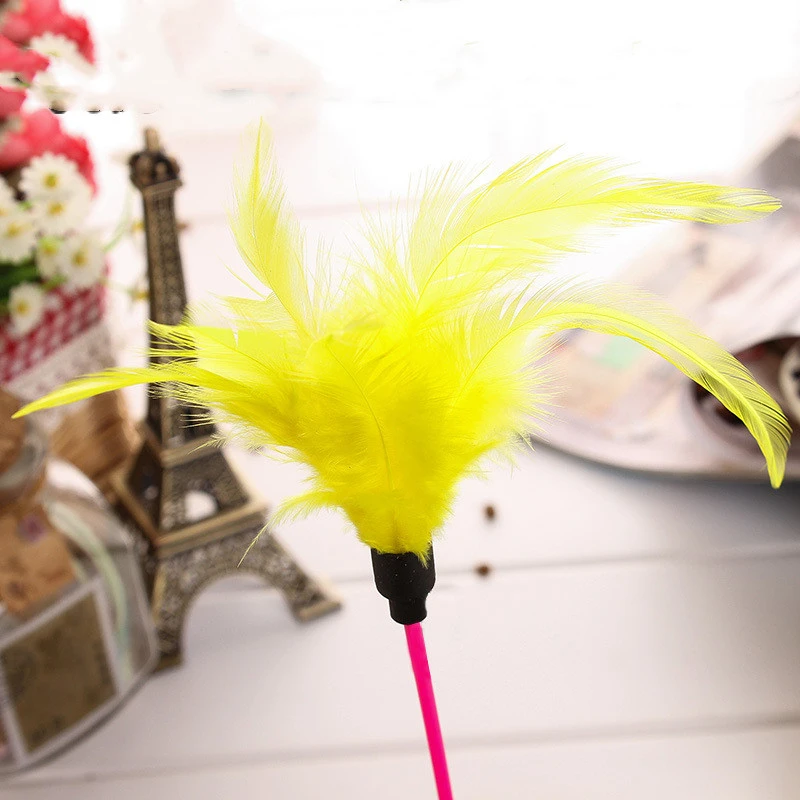 Feather funny cat tumbler